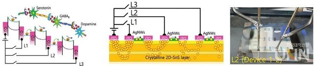 뉴로모픽 신호 전달 시스템