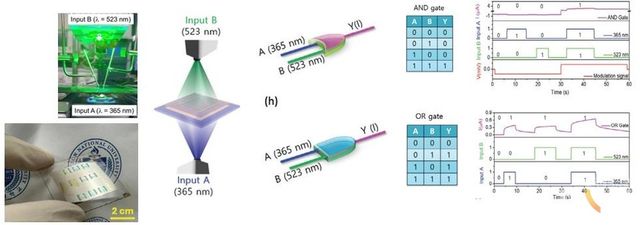개발소자 (투명 뉴로모픽 소자): 연산 (논리게이트) 수행