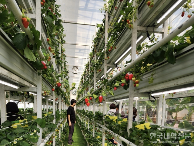 서정대는 2025학년도 학사학위전공심화과정으로 그린농식품가공학과를 신설하고 첨단 스마트팜 교육을 본격적으로 실시한다.&nbsp;(사진=한국대학신문 DB)