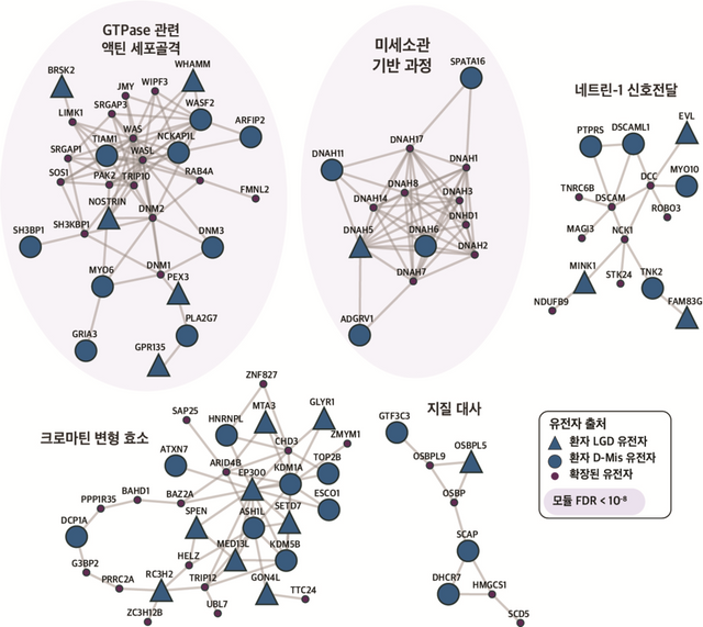 척수수막류 환자 851명으로부터 도출한 질병 관련 유전자 및 생물학적 기능 네트워크다. 연구팀은 질병 발병에 연보라색 바탕의 ‘GTPase 관련 액틴 세포골격’과 ‘미세소관 기반 과정’ 이 큰 역할을 미칠 것이라고 발표했다. (자료=김상우 연세대 의생명시스템정보학교실 부교수)