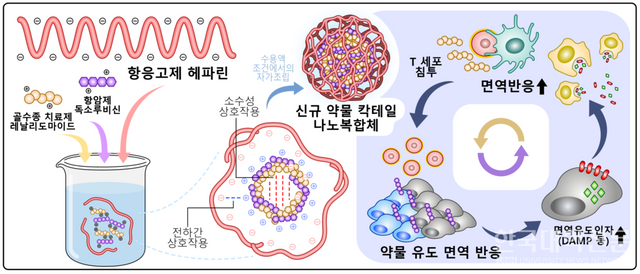 연구 모식도. 기존 약물을 조합해 새로운 항암치료용 나노물질을 만들어냈다.