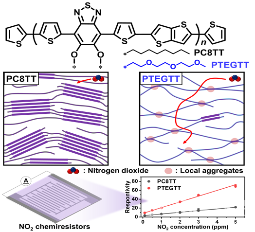이번 연구의 에틸렌글리콜 측쇄구조(곁사슬, side chain)에 따른 고분자 형태 및 센서 기작 모식도. 유기화합물인 에틸렌글리콜을 활용, 측쇄 구조의 도입으로 결정성이 낮아지고 국소적 응집체가 형성됐다. 이에 전기적 특성을 유지하면서도 높은 극성에 따른 이산화질소(NO₂) 친화성과 비결정성 구조에 의한 분자 확산성이 향상되어, 기존에 활용되던 고분자(PC8TT)에 비해 감지 성능이 약 3배 개선됐다.
