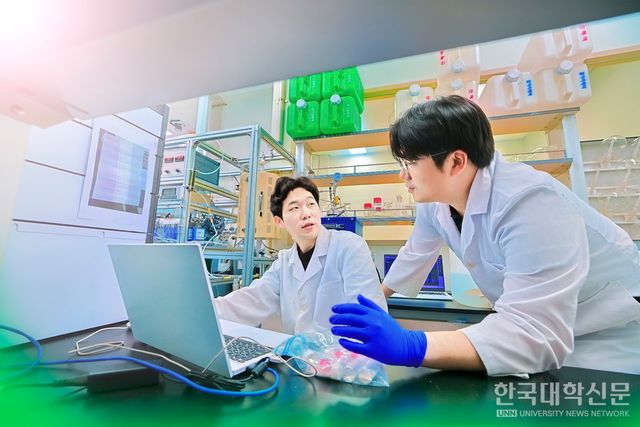 경희대 화학공학과 김종식 교수 연구팀이 독성 물질을 안정적으로 분해할 수 있는 차세대 촉매 기술을 개발했다.