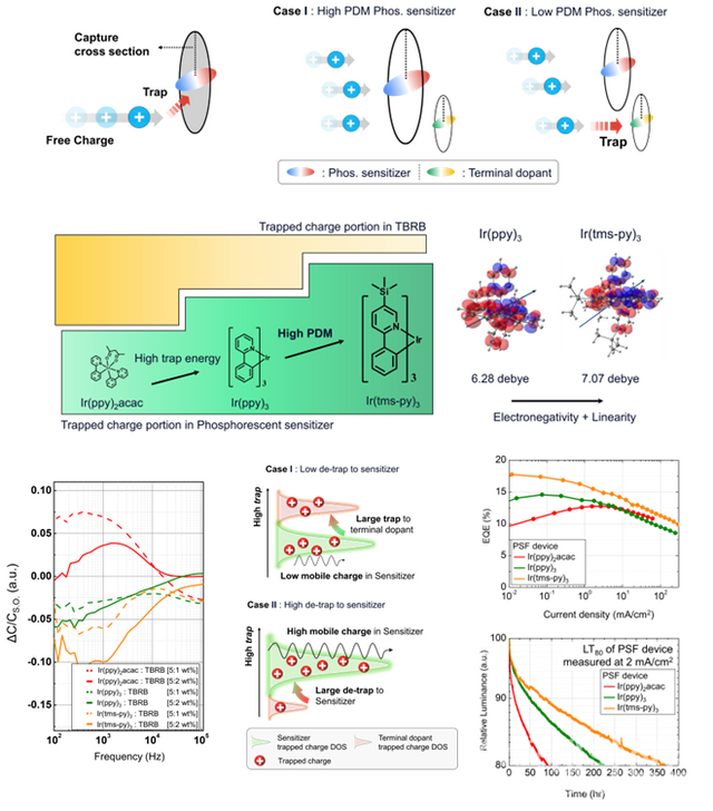 인광체 감광형 형광 OLED 효율 및 수명 향상 전략.