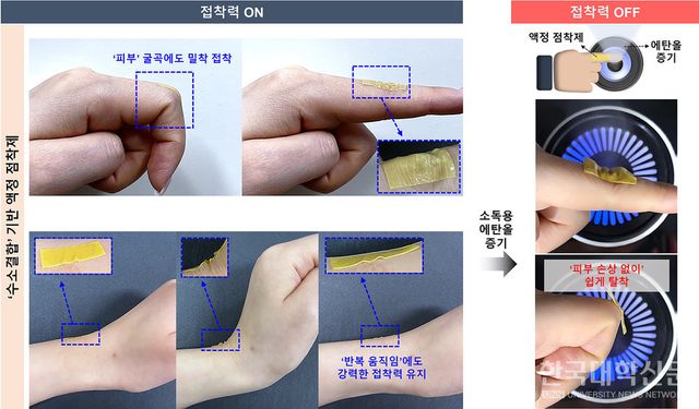 수소결합 기반 액정 탄성체 점착제의 피부 접착 성능 및 소독용 에탄올 증기를 통한 가역적 접착 제어: 수소결합이 도입된 액정 점착제는 피부에도 강력한 접착력을 발휘하며(접착력 ON), 에탄올 증기를 가하면 접착력이 급격히 감소하여 피부 손상 없이 쉽게 탈착됨(접착력 OFF)