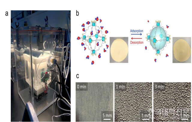 지속적인 전기 에너지 생성 시스템. (a) 자율적인 물 수집 및 지속적인 전기에너지 생성 시스템 체제. (b) 물 흡착 상태 및 건조 상태에서의 UiO-66-NH₂ 모식도 및 디지털 사진. (c) 시간에 따른 물 수집 거동