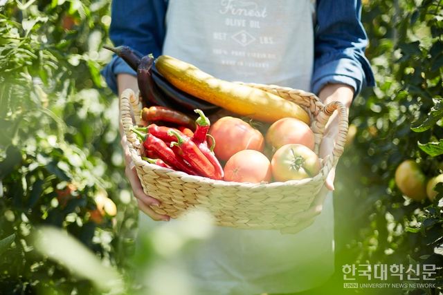 (사진=아이클릭아트)