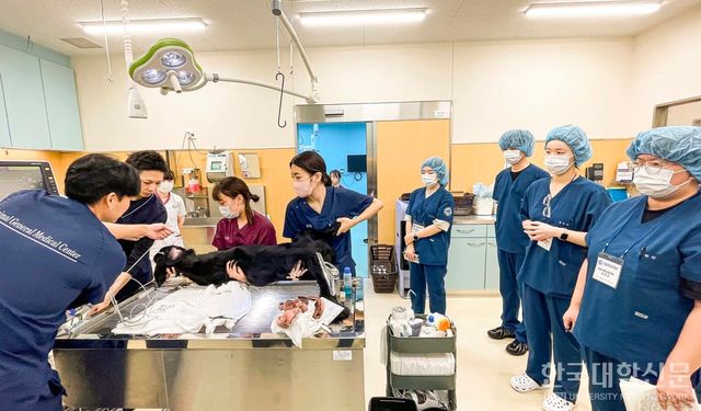 영진전문대 동물보건과 학생들이 일본 동물종합의료센터 치바현에서 현장 실습에 참여한 모습.