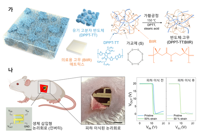 생체삽입형 유연 전자소자용 신축성 반도체 및 논리회로.