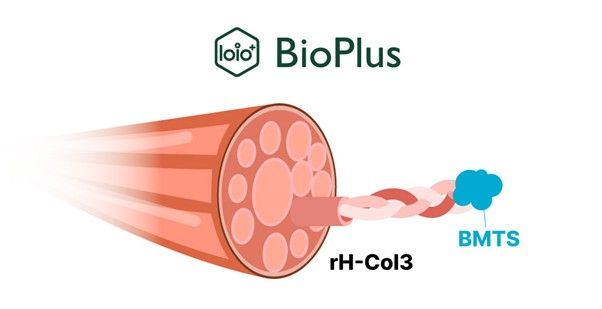 한국 최초로 개발된 유전자 재조합 인간형 콜라겐 Type Ⅲ, 바이오플러스