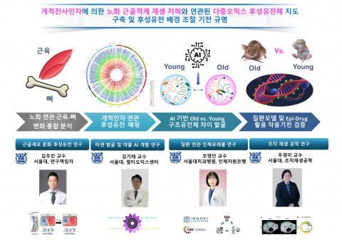 근골격계 노화의 후성유전 기전을 탐색하는 서울대 치대 김우진 교수 공동연구팀. 왼쪽부터 서울대 김우진 교수, 서울대 김기태 연구교수, 서울대치과병원 조영단 교수, 서울대 우경미 교수