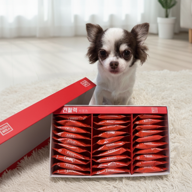 닥터포밸런스의 견활력