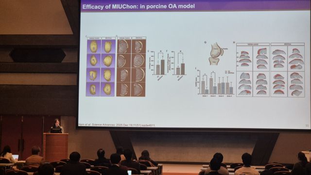 임예리 교수 발표 모습