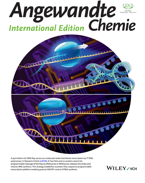 ‘Angewandte Chemie International Edition’ 2026년 4월호 표지