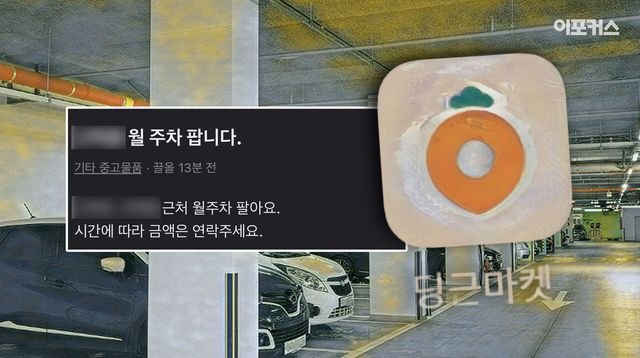 [포토그래픽(PG)/이포커스 김수정 기자]