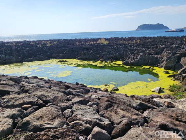 [6코스 중간의 해안 절경/곽경호 기자]