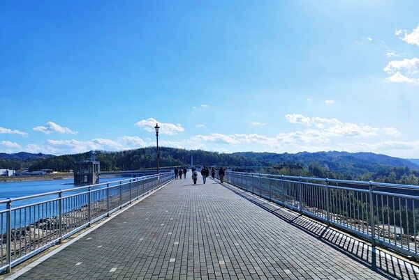 안동댐 정상에서 감상하는 안동호