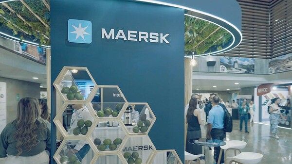 머스크의 칠각별이 그려진 새겨진 로고.