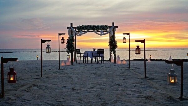 다인 바이 디자인 Dine by Design