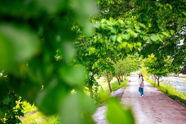 금소비단물길 산책