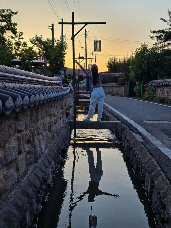 안동 금소마을 봇도랑의 석양