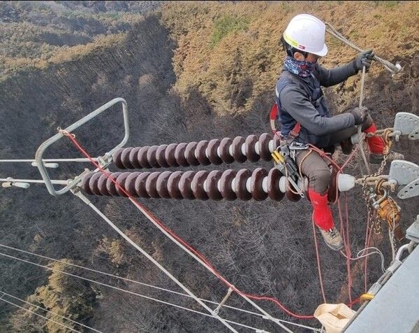 산불 현장에서 한국전력공사 협력사 직원이 송전 선로의 손상된 애자를 교체하고 있다.