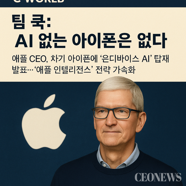 Tim Cook Apple's&nbsp;CEO
