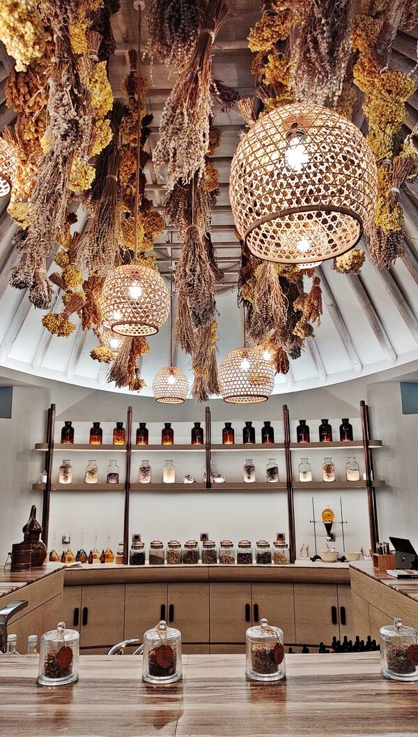 웰빙 테라피스트들의 치유의 손길을 즐길 수 있는 아레카