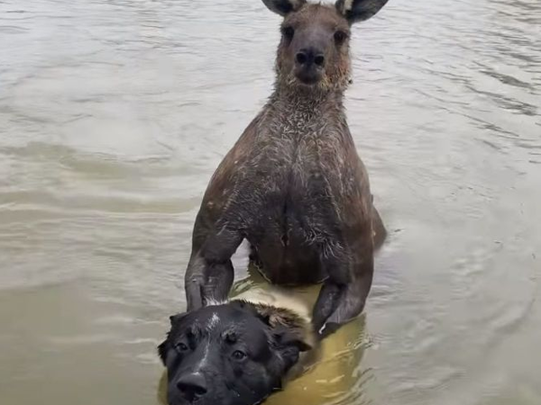 사진: 페이스북