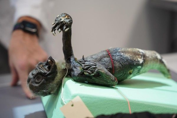 사진: 노던 켄터키 대학교 홈페이지