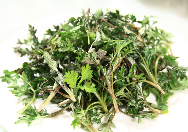 사진 : 픽사베이