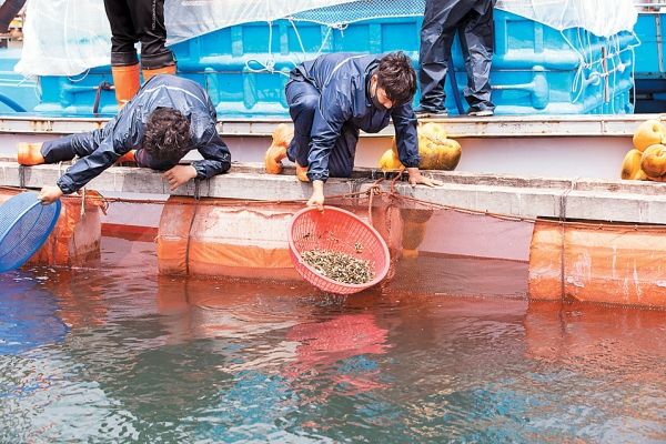 사진출처=수협뉴스