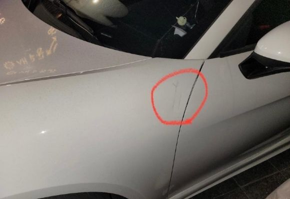 사진: 보배드림