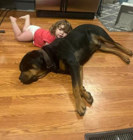 사진: 브룩 체이스 페이스북