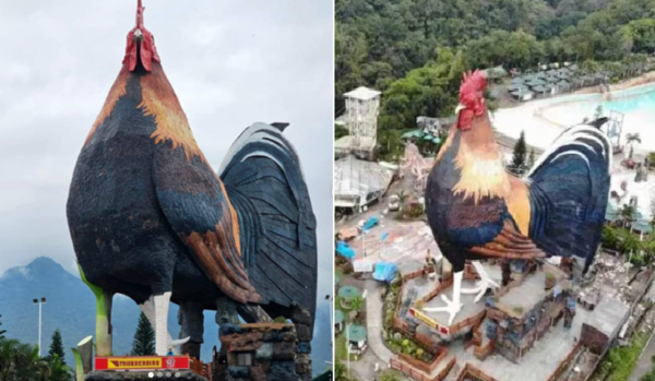 사진: 인스타그램