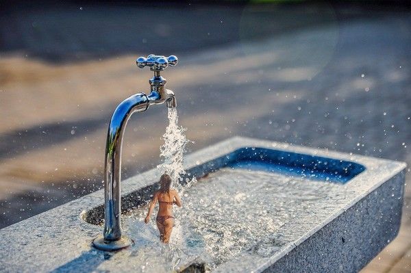 사진: 픽사베이