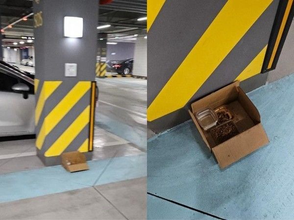 사진: 온라인커뮤니티