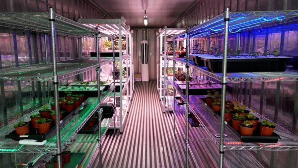 Interior de la granja inteligente de A-Biomaterials: espacio dedicado al cultivo de plantas utilizadas para la extracción y purificación de exosomas vegetales.