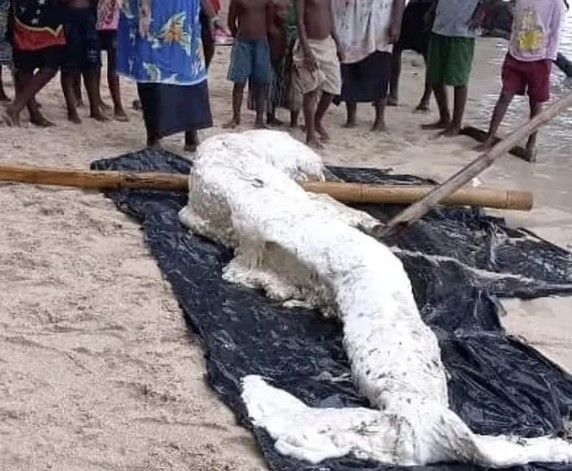 사진: 페이스북