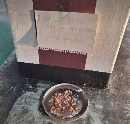 사진: 동물권행동 카라