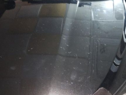 사진: 온라인커뮤니티