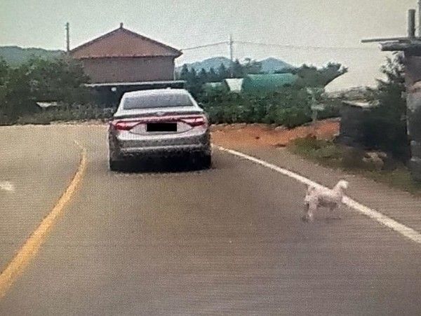 사진: 온라인커뮤니티