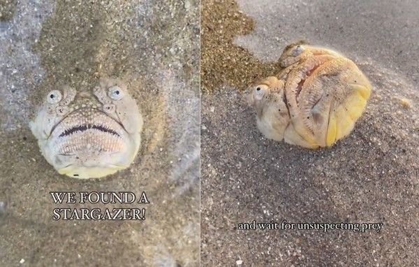 사진: 인스타그램