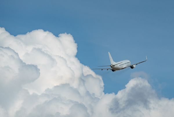 사진 : 픽사베이