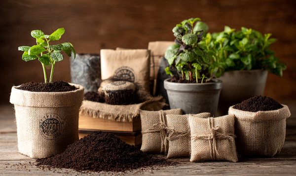 사진=센머니 제작