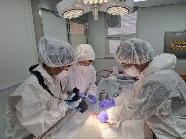 사진=경기도 제공