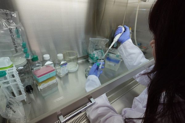 사진=에이바이오머티리얼즈 제공