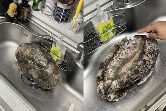 사진: 고향사랑e음 홈페이지 캡쳐