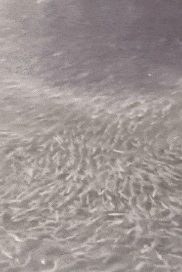 사진: 엑스 캡처