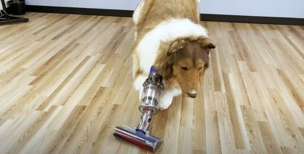 사진: 유튜브 캡처